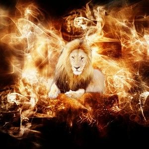 Meet your Posher, Nathaniel